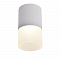 Светильник Favourite 3069-1C